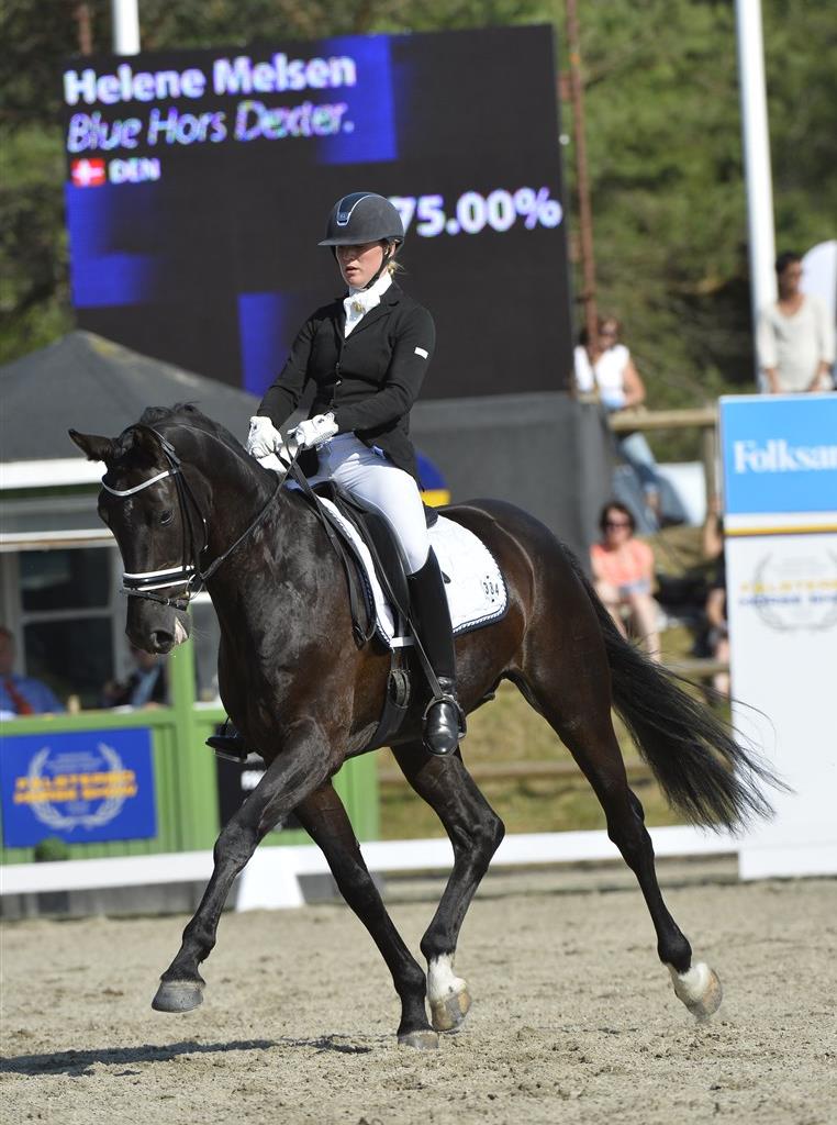 Falsterbo 2013