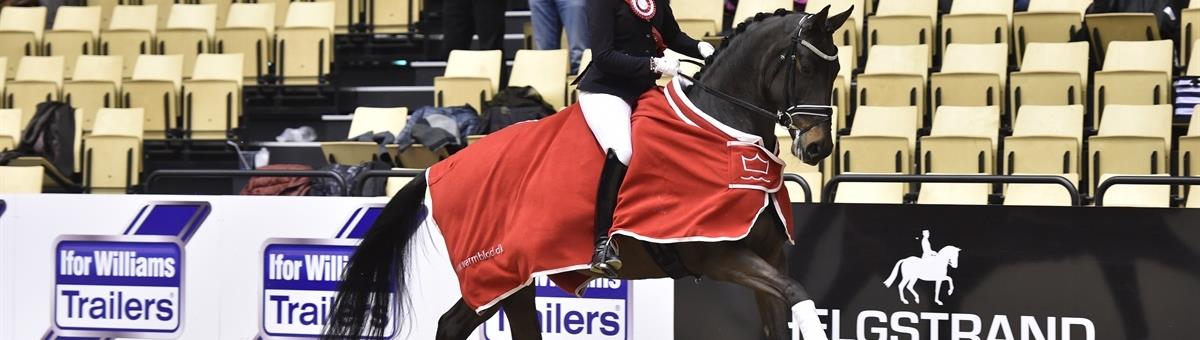 Lærke Stensvang Unghestechampionat 2017