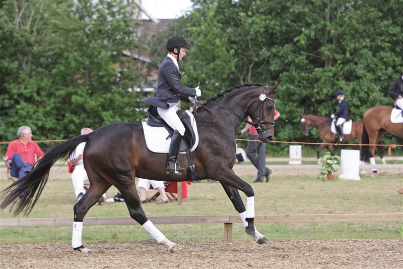Lina sadelkåring 2009